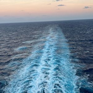 Meet your Posher, Will